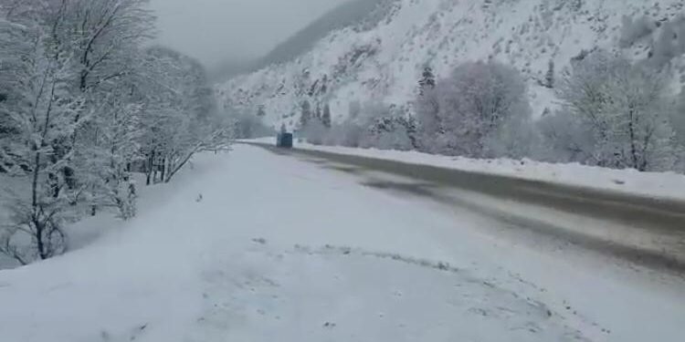 ӨКМ Өтмөк ашуусун көзөмөлдөп жатат