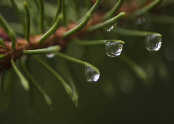 24-мартка карата өлкөдөгү аба ырайы