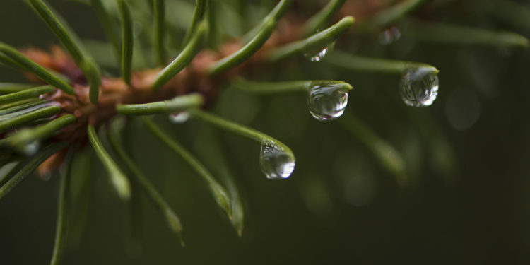 24-мартка карата өлкөдөгү аба ырайы