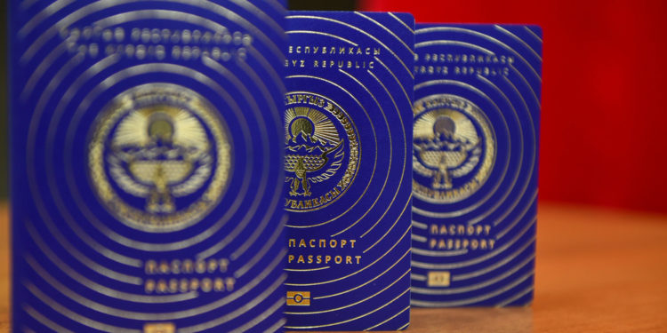 «Паспорт таңкыстыгы»: Сөгүш жеген жетекчи паспорт көйгөйлөрү жөнүндө үн катты