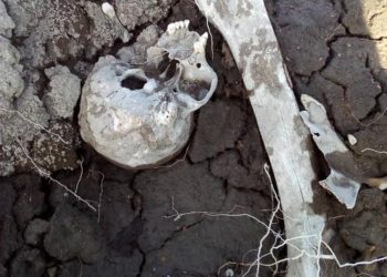 Токтогул суу сактагычында суу азайып, адам сөөктөрү жээкке чыгып калды (сүрөт)