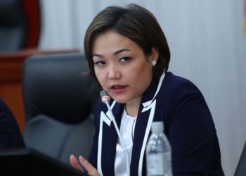 «Биз айткан сунуштар кайда кетти?» Касымалиева Конституциянын жаңы долбооруна депутаттар берген сунуштардын кошулбаганын айтты