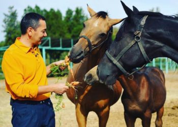Бабановдун күлүктөрү Ноорузда өткөн ат чабышта биринчи келди (видео)