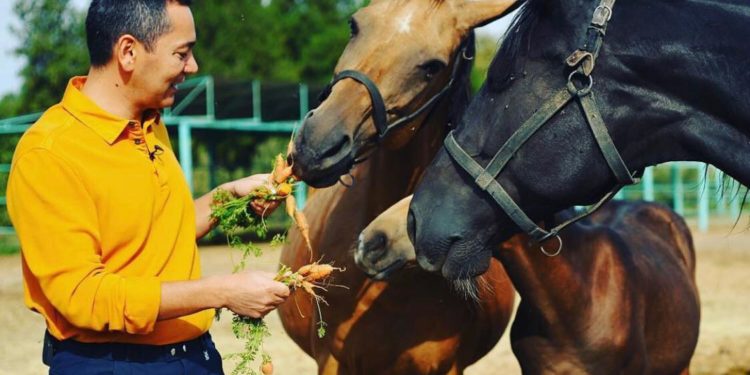 Бабановдун күлүктөрү Ноорузда өткөн ат чабышта биринчи келди (видео)