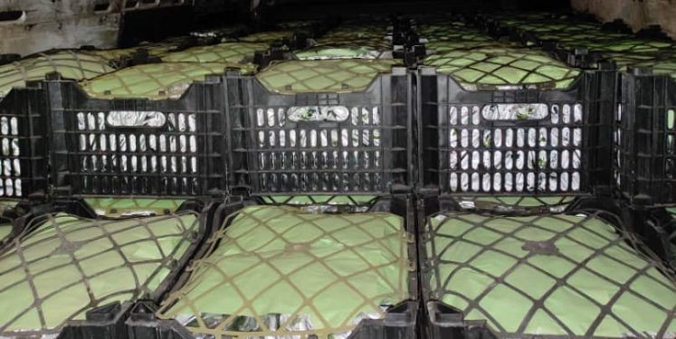 Баткенде 1,7 миллион сомдук товарды чек арадан мыйзамсыз өткөрүп бара жаткан аткезчилер кармалды