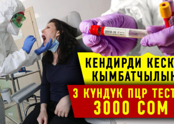 #Собол_ТАЙМ​: Өкмөт ПЦР-тесттерди бекер кылышы керекпи?