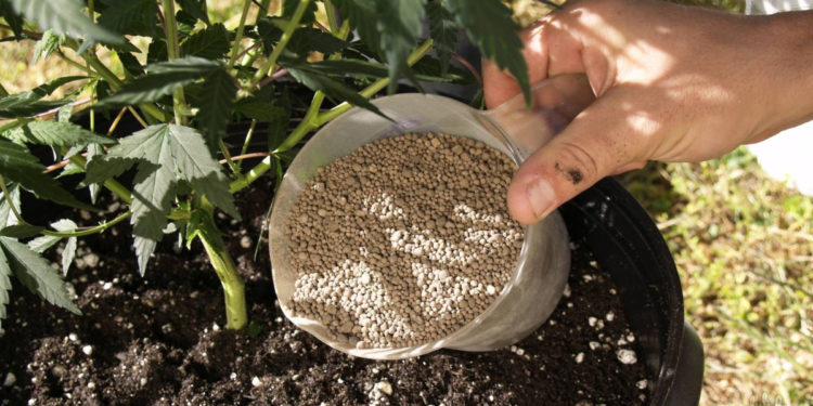 Минералдык жер семирткичтерди да экспорттоого тыюу салынды