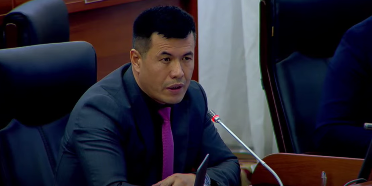 Депутат азык-түлүктүн кымбатташы коомдук чыңалууга алып келерин айтып, коңгуроо какты