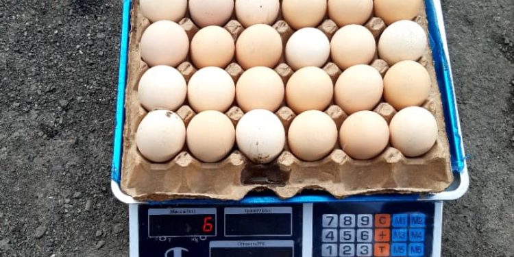 Кыргызстанга 57 миң даана тоок жумурткасын мыйзамсыз ташып келаткандар кармалды