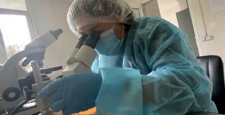 Министрлик: «Медициналык беткаптарда курттар жок. Таркатылган видео жалган»