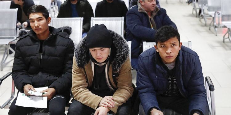 «Айлык акыбызды бербей жатышат». Камчаткадагы мигранттар президент Садыр Жапаровго кайрылуу жасашты