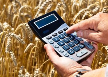 Дыйкан-фермерлерге 84,5 млн сом жеңилдетилген насыя берилди