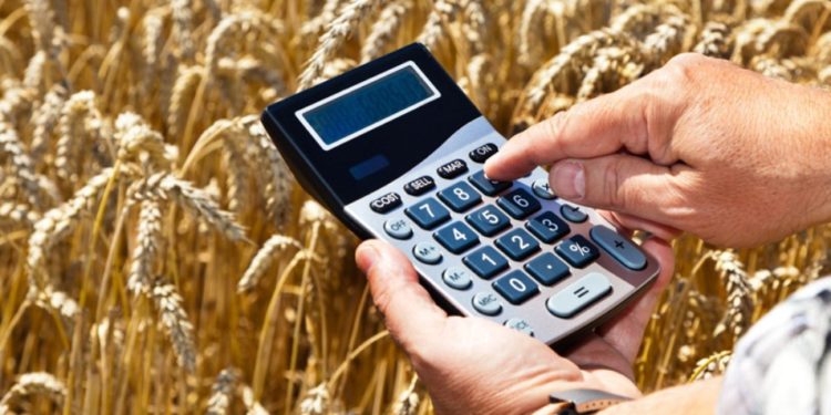 Дыйкан-фермерлерге 84,5 млн сом жеңилдетилген насыя берилди