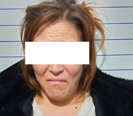 Чүйдө 14 жаштагы баланын өлүмүнө шектелип өз апасы кармалды