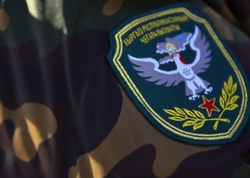 Чек ара кызматы Аламүдүн районунун Гроздь айылындагы абал боюнча түшүндүрдү