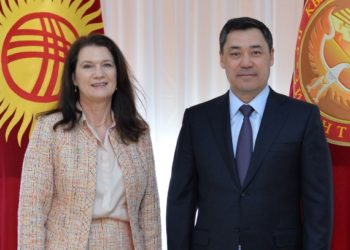 Садыр Жапаров Швециянын тышкы иштер министри менен жолукту