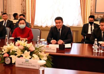 Төрага Талант Мамытов Өзбекстандын Олий Мажлисинин төрайымы менен жолукту