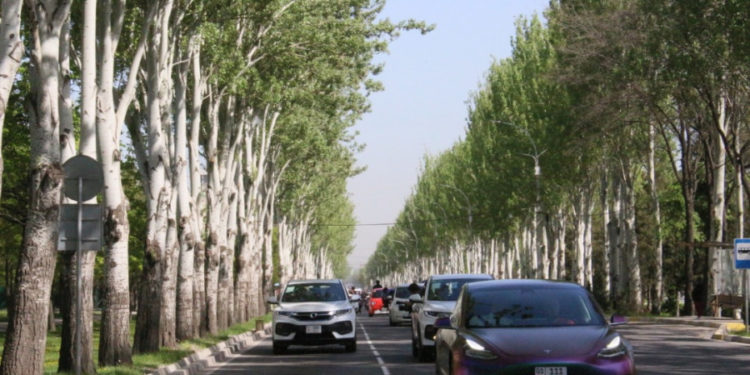 Бишкекте электромобилдердин жүрүшү болуп өттү. Сүрөт