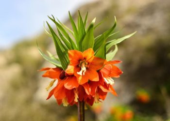 Айрым аймактарда жаан жаайт. 1-майга карата өлкөдөгү аба ырайы