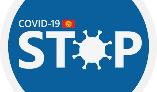 «COVID-19суз саякаттайм» маалыматтык тутуму менен Кыргызстандын 2 миңге жакын жараны колдонду