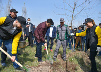 Марипов ишкерлер жана IT-компания өкүлдөрү менен көчөт отургузду