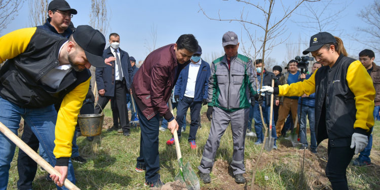 Марипов ишкерлер жана IT-компания өкүлдөрү менен көчөт отургузду