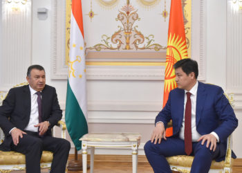 Улукбек Марипов тажик кесиптеши менен чек арадагы абалды талкуулады