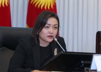 Аида Касымалиева ИИМ өкүлдөрүнө: «Силердин ишти журналисттер менен чабан аткарып койду»