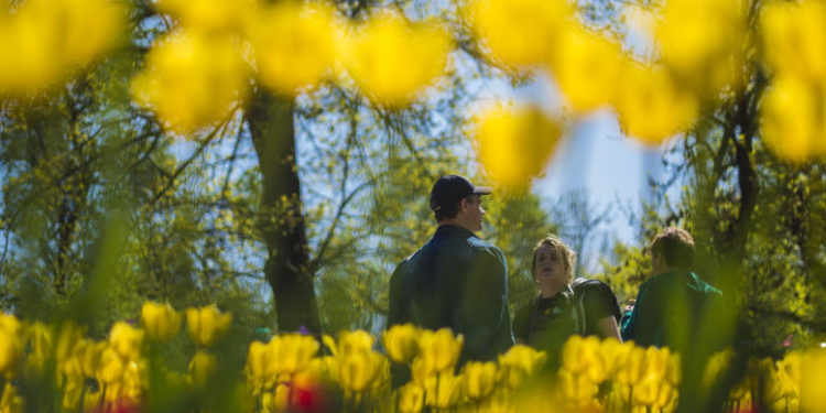 11-апрелге карата аба ырайы тууралуу маалымат