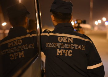 Бишкекте түндө каналга түшүп кеткен жаран куткарылды
