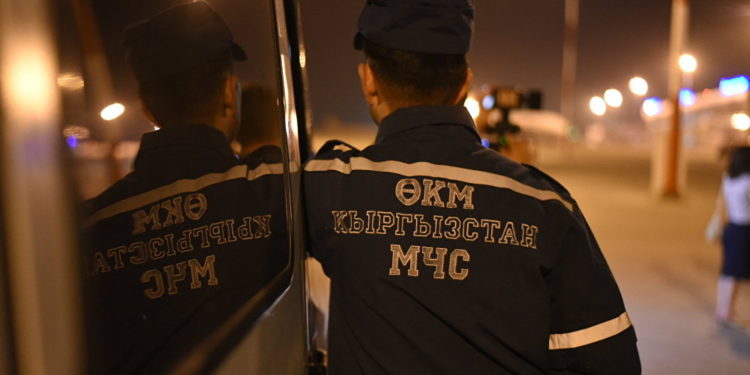 Бишкекте түндө каналга түшүп кеткен жаран куткарылды