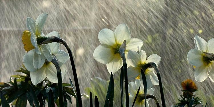 20-апрелге карата аба ырайы тууралуу маалымат