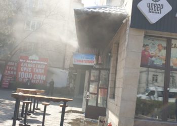 Бишкекте тез татым жайында өрт чыкты (cүрөт)