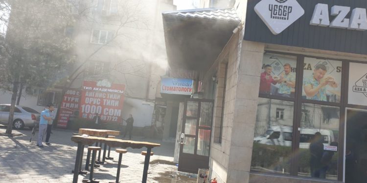 Бишкекте тез татым жайында өрт чыкты (cүрөт)