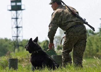 Кыргыз-тажик чек арасындагы абал турукташты