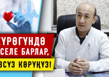 Жүрөк кан-тамыр илдеттери күнүнө 50дөн ашык өмүрдү алууда