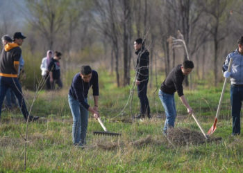 Ош шаарында бүгүн-эртең жалпы ишембилик болот
