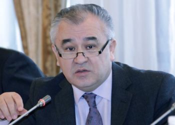 Текебаев Ташиевдин чек ара маселесин чечүү аракетин мактады