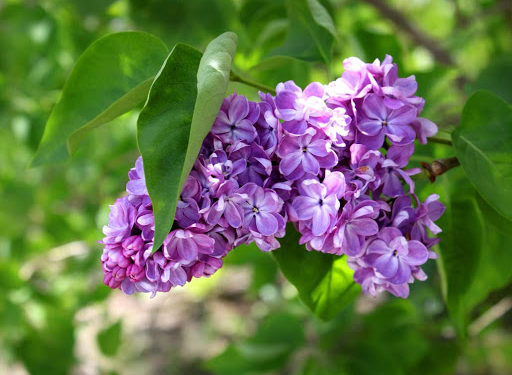 Жайдагыдай ысык. 29-апрелге карата өлкөдөгү аба ырайы