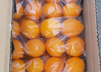 Баткенге коңшу өлкөдөн мыйзамсыз алып келинген 3 тонна лимон аныкталды (cүрөт)