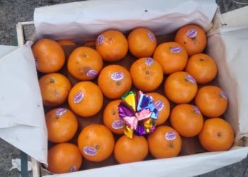 Баткенге аткезчилик жолу менен алып келинген 12 тоннадан ашык мандарин аныкталды