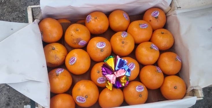 Баткенге аткезчилик жолу менен алып келинген 12 тоннадан ашык мандарин аныкталды