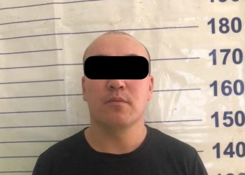 Айзада Канатбекованы уурдоого шектелгендердин дагы бири кармалды