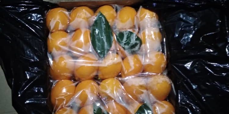 Баткенге мыйзамсыз алып келинген 3 тонна лимон аныкталды