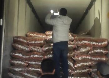 Баткенде аткезчилик жолу менен алып келинген 17 тоннадан ашык кургатылган жемиштер аныкталды