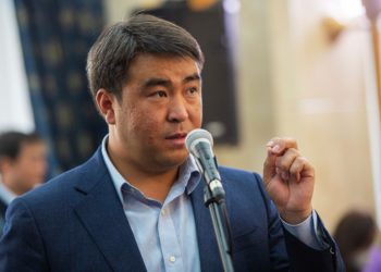 Депутат Жанар Акаев курал берүү тууралуу мыйзам долбооруна түшүндүрмө берди