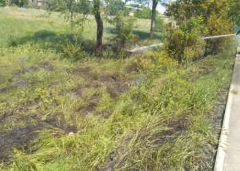 Бишкекте чылым чегүүдөн улам өрт катталды