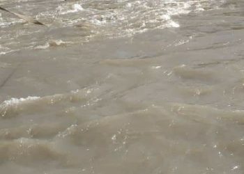 Сузакта изделип жаткан баланын жансыз денеси табылды