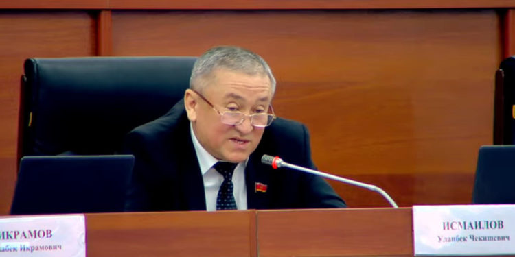 «Көлдүн жээги кык болуп кетти». Депутат жайыт маселесин чечүүнү өтүндү