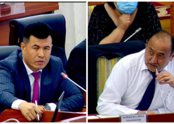 «Хуйман», «Акваварк», «Евроланг». Депутат менен министрдин лабораториялар боюнча сүйлөшүүсү (видео)